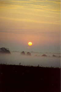 Alabama Sunrise