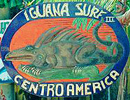 Iguana surf