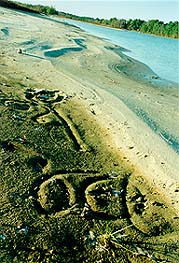 Unusual scribbles in the sand - caused by a sand creature